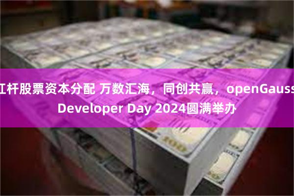 杠杆股票资本分配 万数汇海，同创共赢，openGauss Developer Day 2024圆满举办