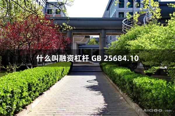 什么叫融资杠杆 GB 25684.10