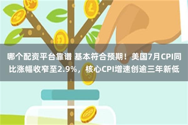 哪个配资平台靠谱 基本符合预期！美国7月CPI同比涨幅收窄至2.9%，核心CPI增速创逾三年新低