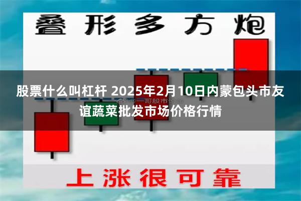 股票什么叫杠杆 2025年2月10日内蒙包头市友谊蔬菜批发市场价格行情