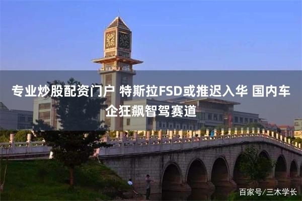 专业炒股配资门户 特斯拉FSD或推迟入华 国内车企狂飙智驾赛道