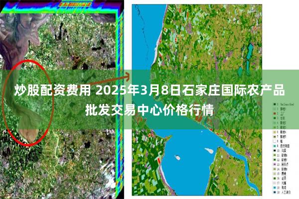 炒股配资费用 2025年3月8日石家庄国际农产品批发交易中心价格行情